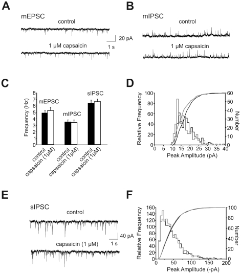 Properties of spontaneous PSCs in the absence and presence of TTX.(A) Continuous recording shows spontaneous EPSCs in the presence of TTX (mEPSCs) from a LA projection neuron under control conditions and 10 min after bath application of capsaicin (1 µM), Vm = −70 mV. (B) Continuous recording shows spontaneous IPSCs in the presence of TTX (mIPSCs) from another LA projection neuron under control conditions and 10 min after bath application of capsaicin (1 µM), Vm = 0 mV. (C) Summary data shows mean frequency of mEPSCs, mIPSCs and sIPSCs under control conditions and in the presence of capsaicin, SEM is indicated by error bars. (D) Amplitude distributions of mIPSCs recorded in under control conditions (black) and in the presence of 1 µM capsaicin (grey). Superimposed lines show cumulative amplitude histograms (p>0.05, Kolmogoroff-Smirnov test). (E) Continuous recording shows spontaneous IPSCs in the absence of TTX (sIPSCs) under control conditions and 10 min after bath application of capsaicin (1 µM), Vm = −70 mV. (F) Amplitude distributions of sIPSCs recorded in under control conditions (black) and in the presence of 1 µM capsaicin (grey). Superimposed lines show cumulative amplitude histograms.