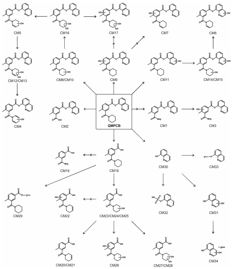 Metabolic pathways of QMPCB. CM1–CM34, metabolites of QMPCB; gluc, glucuronic acid.