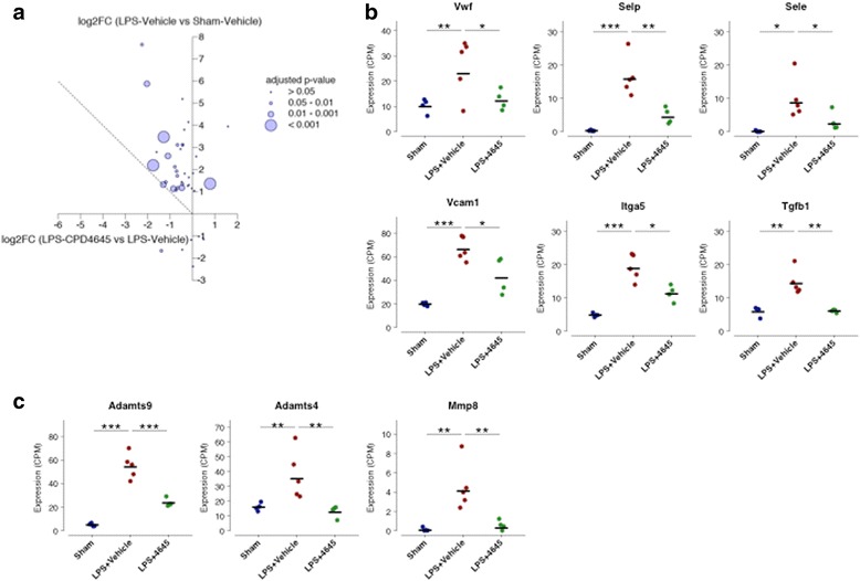 Genes related to BBB (dys) function and proteases are differentially expressed after LPS challenge and treatment with CPD-4645. a Changes in the expression of 40 genes related to BBB function and dysfunction. The y-axis represents the log2-fold change due to LPS challenge while the x-axis represents the log2-fold change due to CPD-4645 treatment. Dotted line represents a return to basal expression level. Size of the bubbles represents the multiple comparison adjusted p values for vehicle vs. CPD-4645 treatment. b Expression levels of selected BBB genes. c Expression levels of selected extracellular proteases. n = 4–5 mice/group. Significance is shown as adjusted p values *p ≤ 0.05, **p < 0.01, *** p < 0.001. Differential gene expression was analyzed using the limma package in R/Bioconductor (see Methods)