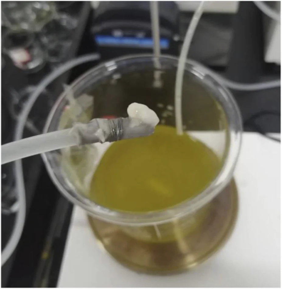 Laboratory setting showing a transparent container filled with yellow liquid, several tubes attached, and a close-up of a tube end with an off-white, solidified substance attached.