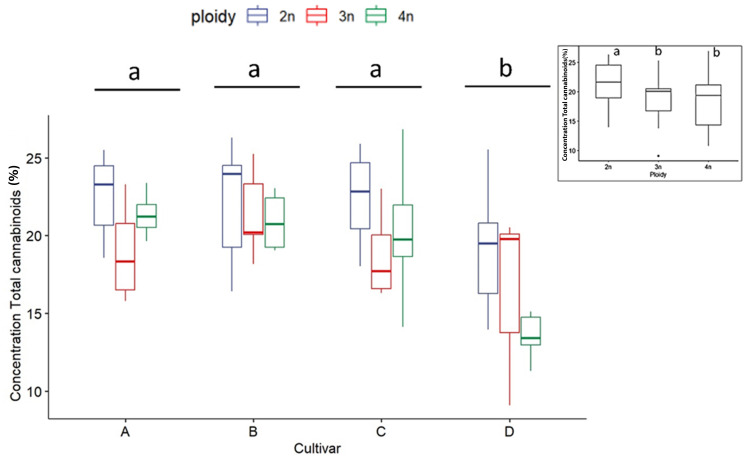 Boxplot of concentration total cannabinoids (expressed as % of dry flower weight) of a HPLC analysis of diploid (2n), triploid (3n) and tetraploid (4n) plants of four Cannabis sativa L. cultivars. Two-way ANOVA: Cultivar; F3,82 = 12.248, p = 1.06e-06. Ploidy; F2,82 = 8.672, p = 0.000383. The insert graph displays total cannabinoids of the ploidy levels: diploid, triploid and tetraploid. Different letters above bars indicate significant differences at p<0.05 with a Tukey post-hoc analysis.