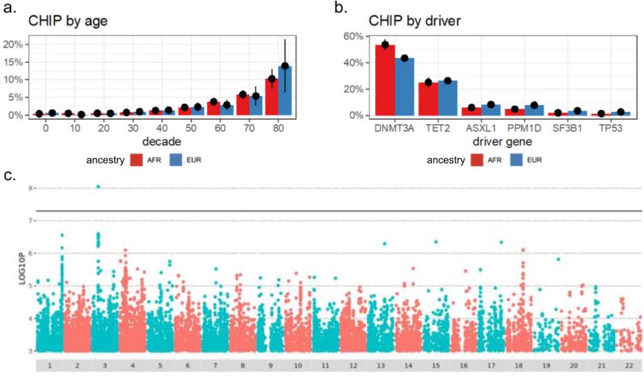 Variants of medical significance in AGD35kA) The rate of CHIP by age group among people of majority African ancestry (red) compared to people of majority European ancestry (blue). Observed rate of CHIP +/- 95% confidence interval is shown. B) The breakdown of CHIP driver mutations in each of the five genes that most commonly harbors CHIP driver mutations among persons of majority African ancestry (red) and majority European ancestry (blue). Observed fraction of each driver gene +/- 95% confidence interval is shown. C) Genome-wide association study for CHIP status.
