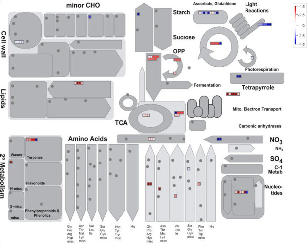 Mapman batch classification of proteins relating to metabolism in trichome heads vs late flowers.Fold change differences in a protein’s abundance is indicated by the legend key where blue represents proteins more abundant in late- stage flowers, white indicates no change in a proteins abundance, and red indicates proteins found more abundant in glandular trichome heads.