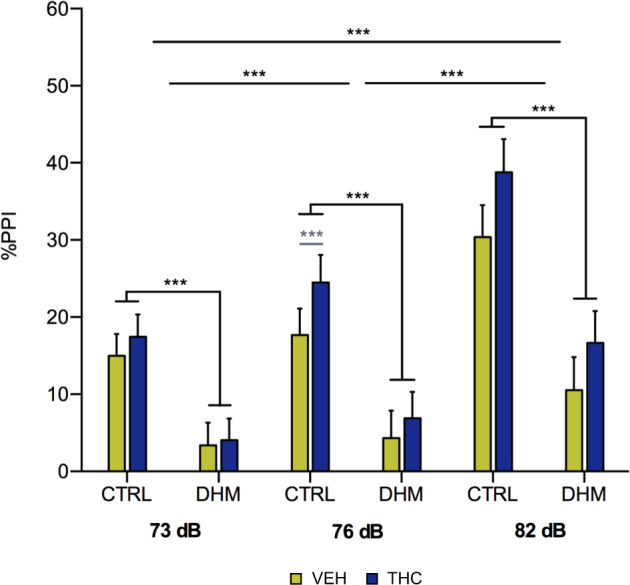Percentage of PPI in CTRL and DHM animals after VEH or THC administration.Graph representing the percentage of PPI at the three intensities tested, 73, 76, and 82 dB. Black asterisks indicate main effects after Kruskal–Wallis or Friedman’s non-parametric test. Gray symbols and lines in graphs represent statistically significant differences among groups after post hoc analysis. p < 0.001 (***). Bars represent the mean ± S.E.M. n = 16 animals/group.