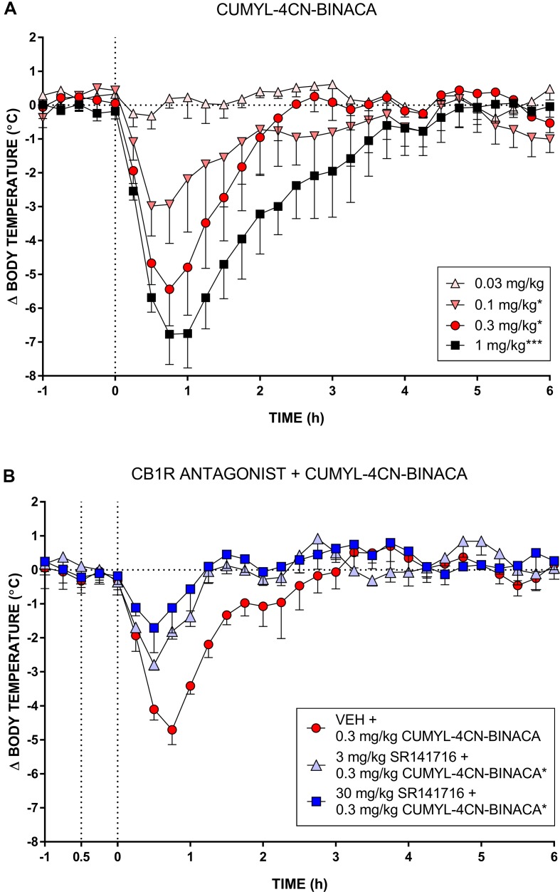 (A) Effect of CUMYL-4CN-BINACA on mouse core body temperature, where the dashed vertical line denotes time of intraperitoneal injection. *p < .05, ***p < .001 compared to vehicle, AUC over 3 h post CUMYL-4CN-BINACA injection. (B) Effect of 0.3 mg/kg CUMYL-4CN-BINACA on mouse core body temperature following pretreatment (30 min prior, first vertical dashed line) with vehicle or 30 mg/kg SR141716 (rimonabant; CB1 receptor antagonist). *p < .05 compared to vehicle + CUMYL-4CN-BINACA, AUC over 3 h post CUMYL-4CN-BINACA injection. For both (A) and (B), each point represents the mean change in body temperature from vehicle baseline (± SEM) for four animals.