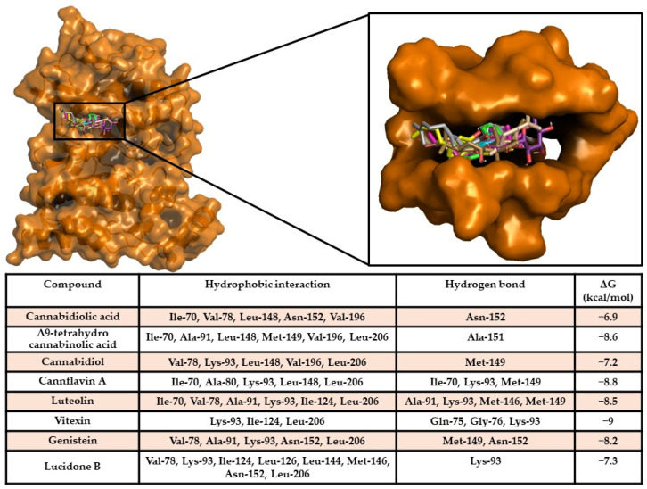 MAPK10/compound interaction overview. The 3D structure of the target is represented as an orange surface/cartoon, while the 3D structures of compounds are reported in coloured sticks. The enlargement shows the docking pose of compounds within the target binding pocket. In the table, the interaction network and binding free energy of each compound against the target are shown.