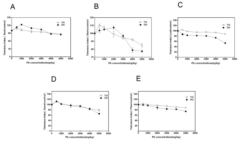 Tolerance index in different organs of two industrial hemp varieties under Pb stress. (A): Comparison of root tolerance index; (B): Comparison of stem tolerance index; (C): Comparison of leaf tolerance index; (D): Comparison of seed tolerance index; (E): Comparison of fiber tolerance index. The error line in the figure represents the mean ± standard.