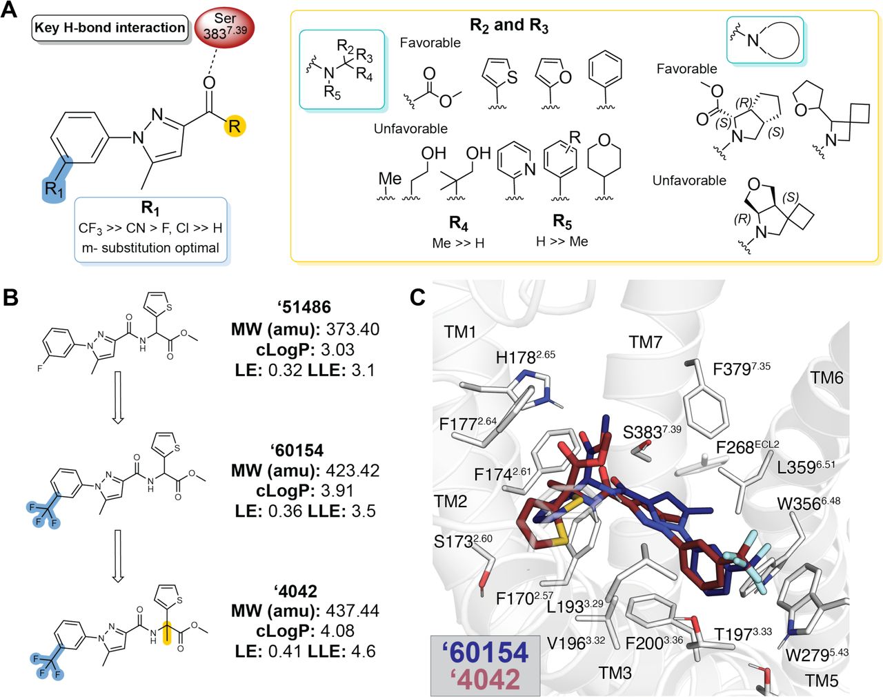 Structure-activity relationships and optimization of ‘51486 to ‘4042.A. Pharmacophore model based on the structure-activity relationships discovered via analoging ‘51486. B. 2D structures of the docking hit ‘51486 and analogs that lead to ‘4042. C. Docking predicted pose of ‘60154 (navy) and ‘4042 (purple).