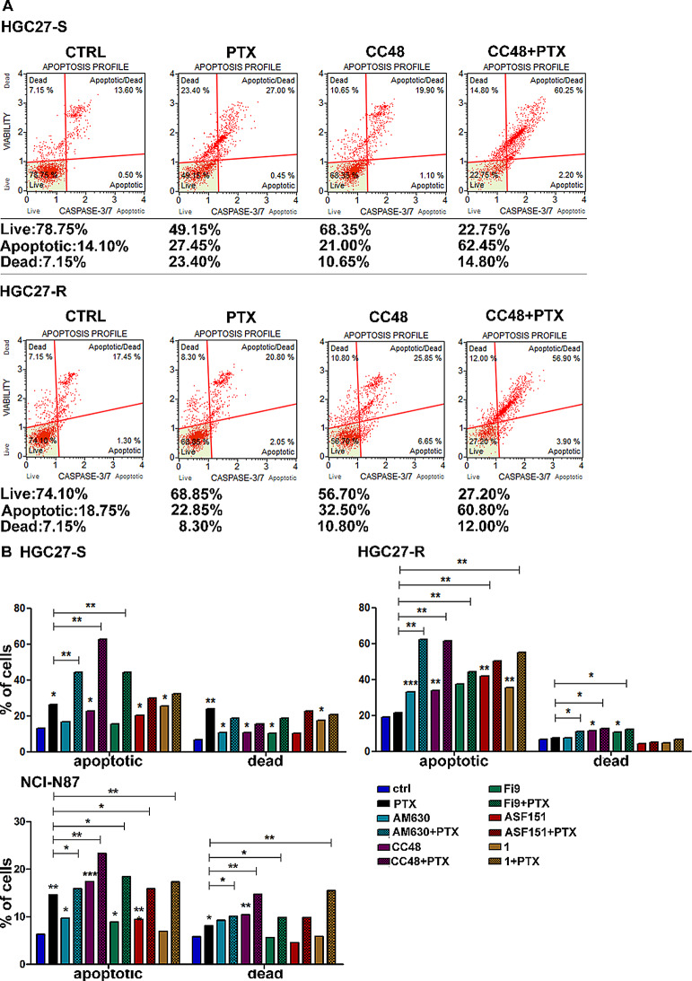 Apoptotic profile of CB2R ligands and PTX in HGC27-S/R and NCI-N87 cells. The Muse caspase 3/7 activation Cell Assay was assessed after 48 h of both single drug treatments with 4 nM PTX, 6 µM AM630, 10 µM CC48, Fi9, ASF151 and compound 1, and after combined treatment of PTX with CB2R target compounds. A) Representative flow cytometry charts of HGC27-S/R are shown. Four cell populations can be distinguished, namely the percentage of live cells (bottom left quadrant), cells in early apoptosis (bottom right quadrant), in late apoptosis (top right quadrant) and dead cells (top left quadrant). B) The results derived from three independent experiments on HGC27-S, HGC27-R and NCI-N87 cell lines are expressed as means ± SD and reported in the relative graphs. Statistical analysis was conducted, comparing the values obtained using single drug treatment to those of corresponding untreated cells and the combined treatments to those of the single treatments, *p < 0.05; **p < 0.01; ***p < 0.001