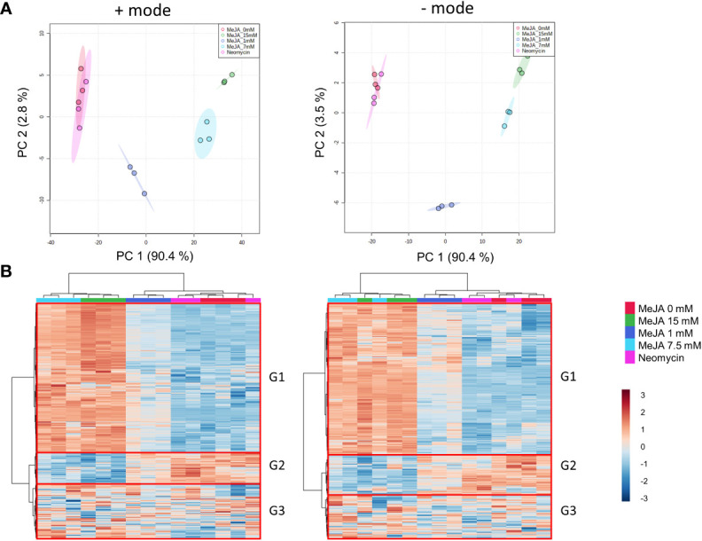 Metabolome effects of MeJA and neomycin treatment on inflorescence. (A) PCA of quality control-corrected metabolite chromatographic peak areas in positive and negative modes. (B) HCA and heatmap of quality control-corrected metabolite chromatographic peak areas in positive and negative modes. G1-G3 represent the major metabolite groups by abundance profile across samples. Red boxes indicate the three main metabolite groups. Median values from duplicate extraction replicates used per biological replicate. Hierarchical clustering, heatmap and PCA performed on 1,224 (positive mode) and 769 (negative mode) putative metabolites. For multivariate analysis, mean-centred normalization and log2 transformation scaling were applied to quality control-corrected metabolite abundances.