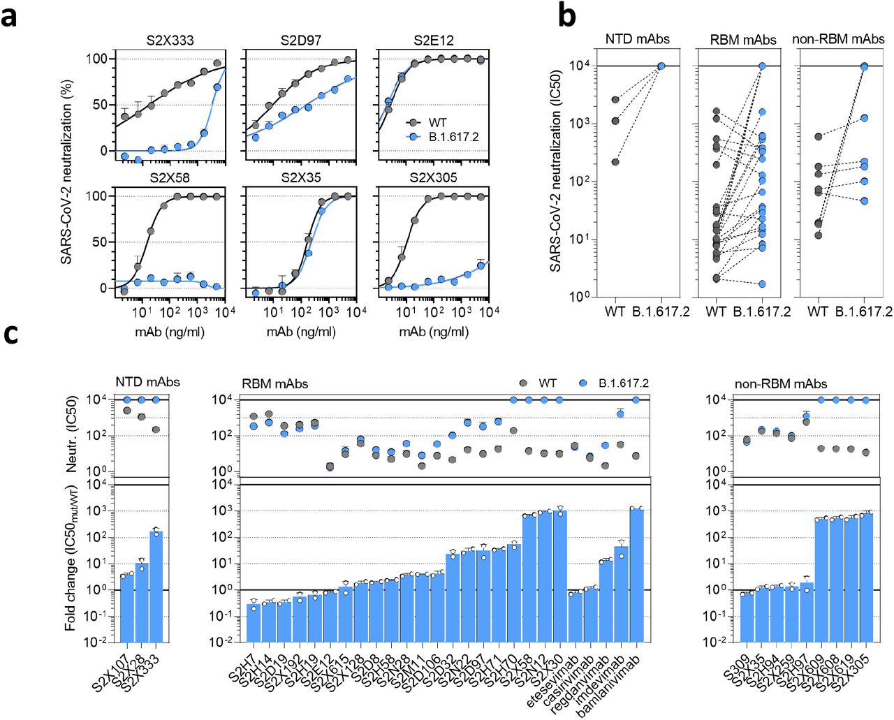 Delta variant B.1.617.2 shows reduced sensitivity to monoclonal antibodies.a. Neutralisation of WT D614 (black) and B.1.617.2 mutant (blue) pseudotyped SARS-CoV-2-VSV by 6 selected mAbs from one representative experiment out of 2 independent experiments. S2X333 is an NTD-specific mAb, S2D97, S2E12 and S2X58 are RBM-specific mAbs, while S2X35 and S2X305 are non-RBM mAbs. b. Neutralisation of WT and B.1.617.2 VSV by 38 mAbs targeting NTD (n=3), RBM (n=26, including 5 clinical stage mAb) and non-RBM (n=9). Shown are the mean IC50 values (ng/ml) from 2 independent experiments. Non-neutralising IC50 titers were set at 104 ng/ml. c. Neutralisation shown as mean IC50 values (upper panel) and average fold change of B.1.617.2 relative to WT (lower panel) of 38 mAbs tested in 2 independent experiments (including 5 clinical-stage mAbs), tested using Vero E6 cells expressing TMPRSS2.