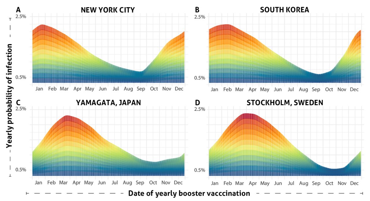 Yearly probability of infection (red: high to blue: low) based on yearly date of booster vaccination in (A) New York, (B) Stockholm (C) Yamagata, and (D) South Korea.