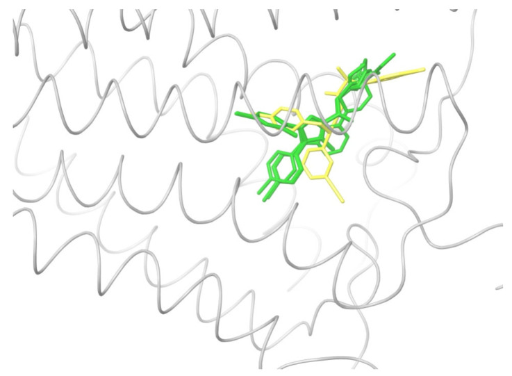 Docking antagonist ligands (green) from Table 1 into the structure of inactivated CB1 taken from crystal complex with antagonist. Similar locations of all ligands except for one marked in yellow.