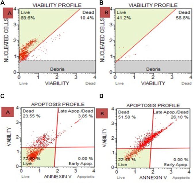 (A) Cell and Count Viability Assay where (A) is Untreated and B is Ethanolic Extract. 41.2% of the cells in the ethanolic extract treatment group were viable, compared to 89.6% in the untreated group. (B) after treating with ethanolic extracts show 58.8% death of carcinoma cells. (C) Apoptosis for HeLa cells treated with ethanolic extract of Cannabis sativa where (C) is untreated and (D) is ethanolic extract treated shows 51.5% death and via late apoptosis it shows 26.10% carcinoma cell death. Overall apoptosis initiate 77.6% death in carcinoma.