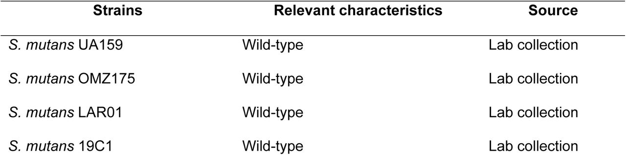 Bacterial strains used in the study.