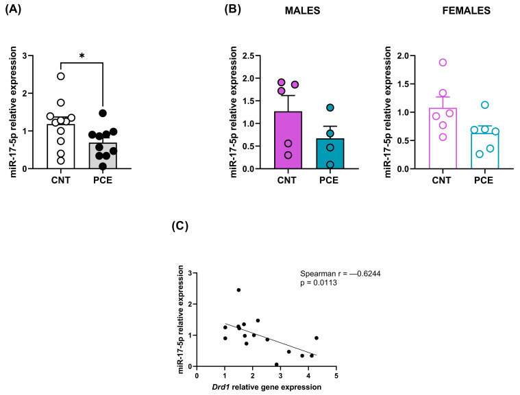miR-17-5p expression levels (A) of the combined study samples (A) and male and female rats (B) and correlation between Drd1 and miR-17-5p relative expression (C). miRNA expression data are reported as 2−ΔΔCt values calculated by the Delta–Delta Ct (ΔΔCt) method versus the CNT. Expression was normalized to U6. Data are reported as the mean ± SEM (n = 11–10 rats/group, combined population; n = 5-4 rats/group, male rats; n = 6 rats/group, female rats). Significant differences are indicated: Mann–Whitney Test * p < 0.05 vs. CNT. For correlation, data were compared by Spearman’s rank correlation coefficient.