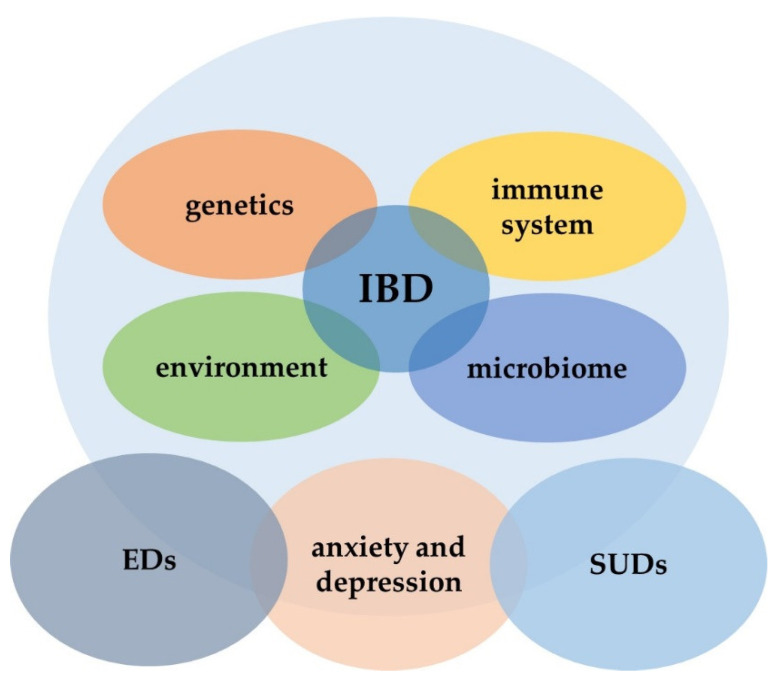 Interactions between IBD and psychiatric disorders. IBD, inflammatory bowel disease; EDs, eating disorders; SUDs, substance use disorders.