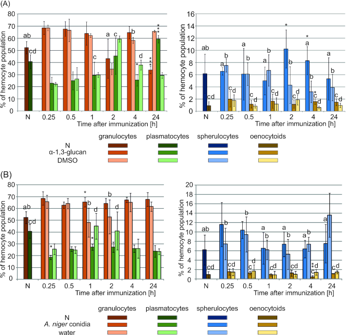 Relative content of particular hemocyte types in the population (DHC) after immunization of G. mellonella with A. niger α-1,3-glucan, DMSO, A. niger conidia and water. The larvae were immunized with (A) A. niger α-1,3-glucan (5 μg per larva) or 30% DMSO and (B) A. niger conidia (1 × 105 per larva), or water. Hemocytes were counted in the Bürker chamber in preparations from freshly harvested hemolymph 0.25–24 h after the immunization and identified based on their morphology. The number of all hemocytes found in 1 µL of freshly collected hemolymph was assumed as 100%. The results were presented as a mean value (±SD). The level of significance determined for the differences between the mean values ​​obtained for α-1,3-glucan and DMSO as well as conidia and water are marked with asterisks: *P < 0.05, **P ≤ 0.01 and ***P ≤ 0.001. The statistical significance of differences between the values ​​determining the relative content of a given hemocyte type in the hemocyte population of the non-immunized insects and at the different time points after the immunization is marked by the lack of a common letter (P < 0.05). N—hemocytes of non-immunized larvae.