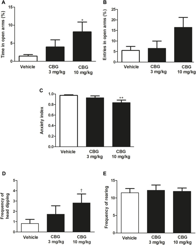 Effect of CBG on the anxiety-like behavior in rats by the EPMT (A) Percentage of time spent by the rats in the open arms, (B) percentage of open arms entries, (C) the anxiety index,(D) the frequency of head-dipping and (E) the frequency of rearing in rats injected with the vehicle (up to 10 mL/kg, i.p., n = 28), CBG (3 mg/kg, i.p., n = 21) and CBG (10 mg/kg, i.p., n = 11). Each bar represents the mean ± SEM of n animals. *p < 0.05 compared to percentage of time spent by the rats in the open arms in the vehicle-treated group and **p < 0.01 compared to the anxiety index value in the vehicle-treated group by the one-way ANOVA followed by Bonferroni’s Multiple Comparison Test. †p < 0.05 compared to the number of head-dipping in the vehicle-treated group by the Kruskal–Wallis test followed by Mann–Whitney U test.