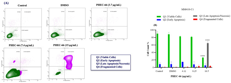 The effect of PHEC-66 treatment on melanoma was assessed for three different cell lines. These cells were exposed to PHEC-66 at concentrations equivalent to 50%, 100%, and 200% of their respective IC50 values, and the treatment duration was 48 h. (A) Apoptosis for MM96L was analysed using BD LSRFortessa, (B) MM418-C1, (C) MM329, and (D) MM96L. Data are expressed as means ± standard deviations of each group (n = 3). Significant differences between groups are marked with **** p < 0.0001.
