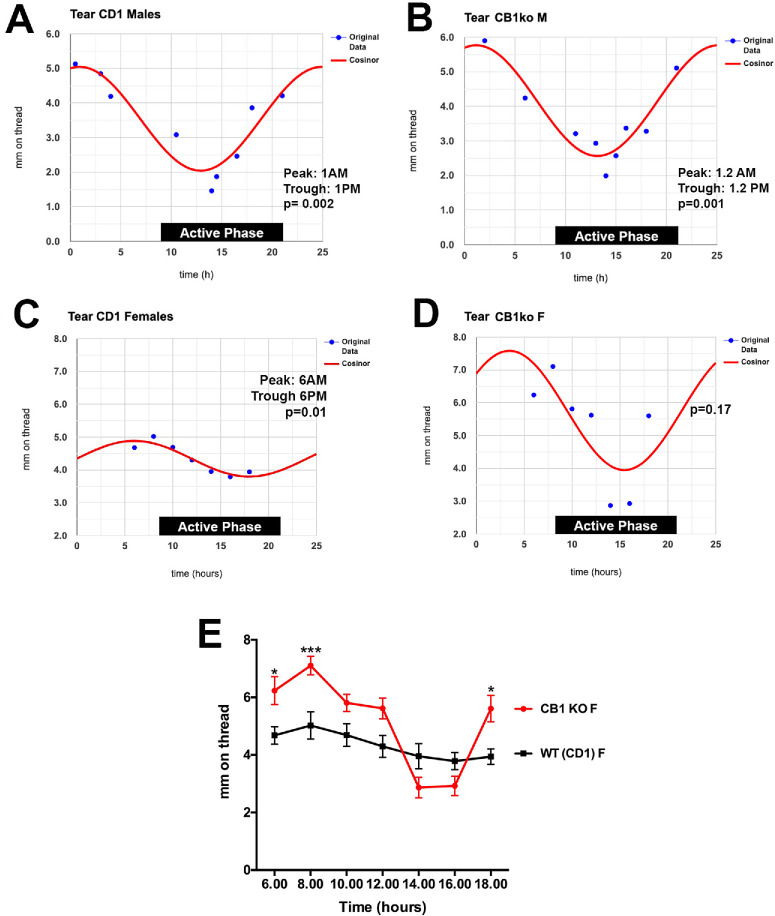 Sex-dependent circadian effects of CB1 deletion on tearing. (A) Cosinor analysis shows a circadian variation of tearing in CD1 male mice, n = 15. (B) Male CB1 KO mice on a CD1 background have the same profile, n = 12. (C) Female CD1 strain mice have a delayed phase relative to males, n = 21. (D) Cosinor does not fit the responses in female CB1 KO mice (P = 0.17, n = 17). (E) Analysis of female CB1 KO versus strain controls shows an increase in tearing during the rest phase. *P < 0.05 at 6 AM and 6 PM, ***P < 0.005 at 8 AM, two-way ANOVA with Šídák post hoc test.