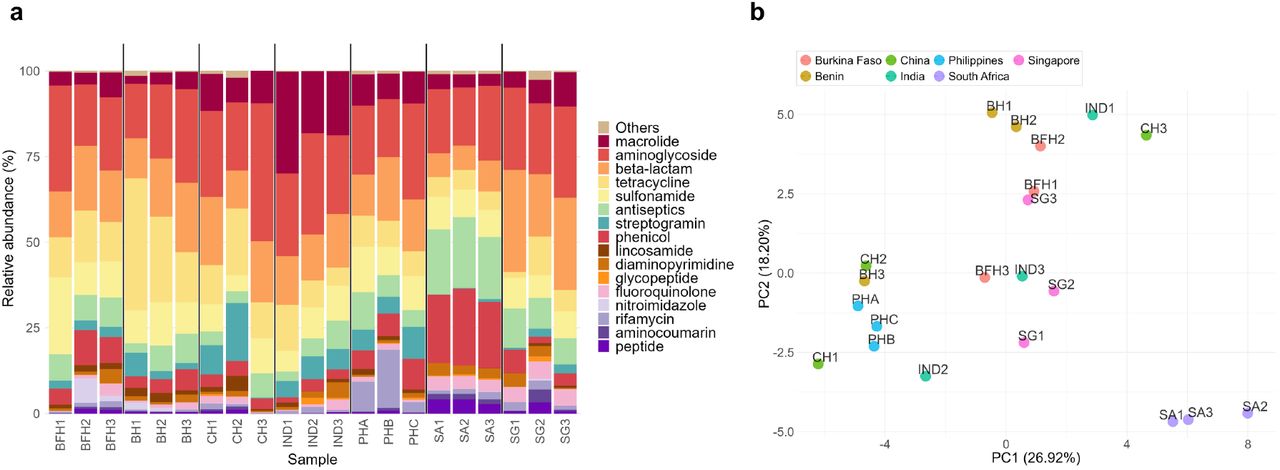 Comparing Philippine samples to regional neighbors and LMICs (BFH: Burkina Faso, BH: Benin, CH: China, IND: China, SA: South Africa, SG: Singapore). (a) Relative abundances of ARGs consolidated by drug classes. The Philippine samples (PHA, PHB, PHC) were aggregated at the hospital level by computing the compositional mean of each ARG across samples from the same hospital using the mean.acomp function in the R compositions package. Philippine hospitals are denoted as PHA (Hospital A), PHB (Hospital B), and PHC (Hospital C). (b) Principal component analysis (PCA) based on the relative abundances shown in (a).