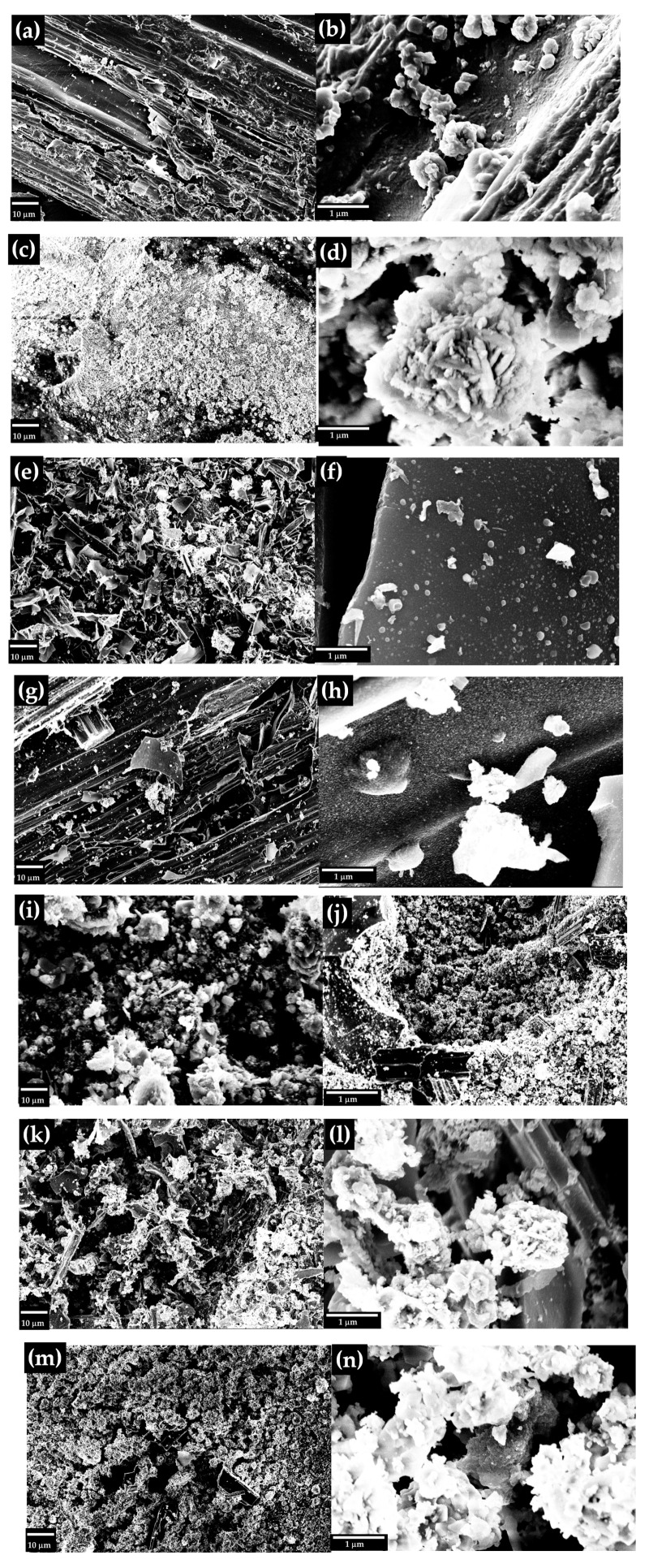 FE-SEM images of (a,b) neat hemp, (c,d) neat RM and RM-BC materials with (e,f) 0 wt., (g,h) 5 wt.%, (i,j) 10 wt.%, (k,l) 20 wt.% and (m,n) 50 wt.% of RM respectively.
