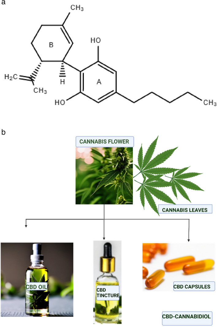 a Chemical structure of cannabidiol (CBD). b Forms of CBD derived from Cannabis