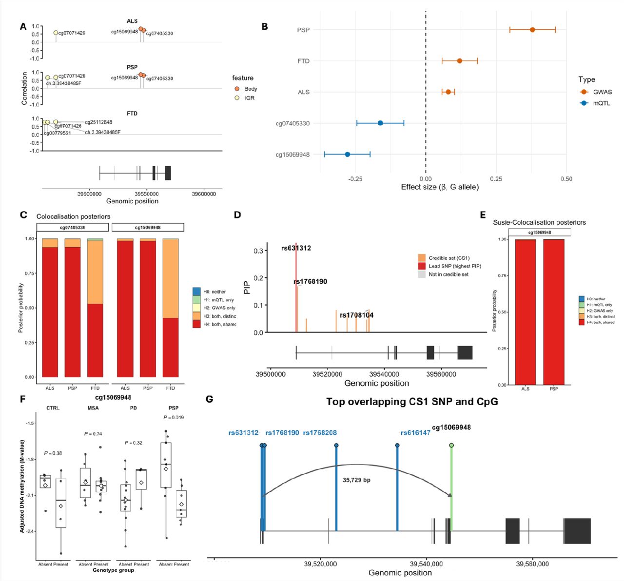 Genetic-epigenetic colocalisation and fine-mapping of mQTLs at the MOBP locus.A) Correlation between mQTL and GWAS signals across top CpG sites within the MOBP locus for ALS, PSP, and FTD. Each point represents a CpG site, plotted by genomic position. Height of lollipop point represents Pairwise correlation of GWAS –log10(P) against mQTL −log10(P) values across the MOBP region for ALS, PSP and FTD. CpGs are annotated and coloured by genomic feature. The gene structure for MOBP is shown below. B) Effect size estimates (β ± 95% CI) for rs631312 across disease GWAS and MOBP mQTL datasets, harmonised to the risk G allele. C) COLOC posterior probabilities for the top disease–CpG pairs ranked by H4 (shared causal variant). Bars show posterior support for each hypothesis: H0 (no association), H1 (disease only), H2 (CpG only), H3 (distinct causal variants), and H4 (shared causal variant). (D) SuSiE fine-mapping of the cg15069948 mQTL locus. Posterior inclusion probabilities (PIP) for SNPs across the MOBP region are shown, with CS1 SNPs highlighted in orange, and the lead SNP highlighted in red and labelled. The MOBP gene structure is shown below, with exons indicated as black boxes. E) SuSiE-coloc posterior probabilities between cg15069948 and disease GWAS datasets. Bars show posterior support for each hypothesis as in A. F) Frontal lobe white matter DNA methylation levels at cg15069948 across neurodegenerative disease groups, stratified by SNP risk allele presence. Differences in methylation between genotype groups were assessed using two-sample t-tests within each disease group. Boxplots show delta M-values for control, MSA, PD and PSP samples, with statistical comparisons (p-values) indicated (G) Genomic schematic of overlapping CS1 SNPs between ALS and PSP at the MOBP locus (blue lollipops) and the cg15069948 CpG site (green lollipop). MOBP exons are shown in black, and distance between the lead SNP (rs631312) and the CpG is indicated. ALS, amyotrophic lateral sclerosis; PSP, progressive supranuclear palsy; FTD, frontotemporal dementia; MSA, multiple system atrophy; PD, Parkinson’s disease; SNP, single-nucleotide polymorphism; PP, posterior probability; mQTL, methylation quantitative trait loci; CS, credible set.