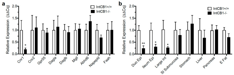 Expression of endocannabinoid system genes in conditional intestinal epithelium-specific CB1R-deficient mice and controls. Expression of cannabinoid CB1Rs (Cnr1) was reduced in the jejunum epithelium of conditional intestinal epithelium-specific CB1R deficient mice (IntCB1−/−) when compared to control mice (IntCB1+/+) (a), and expression of mRNA for other components of the endocannabinoid system was unaffected, including cannabinoid CB2Rs (Cnr2), g-protein coupled receptor 55 (Gpr5), diacylglycerol lipase alpha (Dagla), diacylglycerol lipase beta (Daglb), monoacylglycerol lipase (Mgll), alpha beta hydrolase domain containing 6 (Abhd6), N-acyl-phosphatidylethanolamine-hydrolyzing phospholipase D (Napepld), and fatty acid amide hydrolase (Faah) (a). IntCB1−/− mice, when compared to IntCB1+/+ controls, were deficient in expression of mRNA for CB1Rs (Cnr1) in the duodenum epithelium (Duo Epi), ileum epithelium (Ileum Epi), large intestine (Large Int), but not in the small-intestinal submucosa/muscle/serosal layers (SI Submucosa), stomach, liver, pancreas, and epididymal fat (E Fat) (b). Unpaired Student’s t-tests, two-tailed; * p < 0.05, ** p < 0.01. Results are expressed as means ± S.E.M; n = 5–8 per condition.