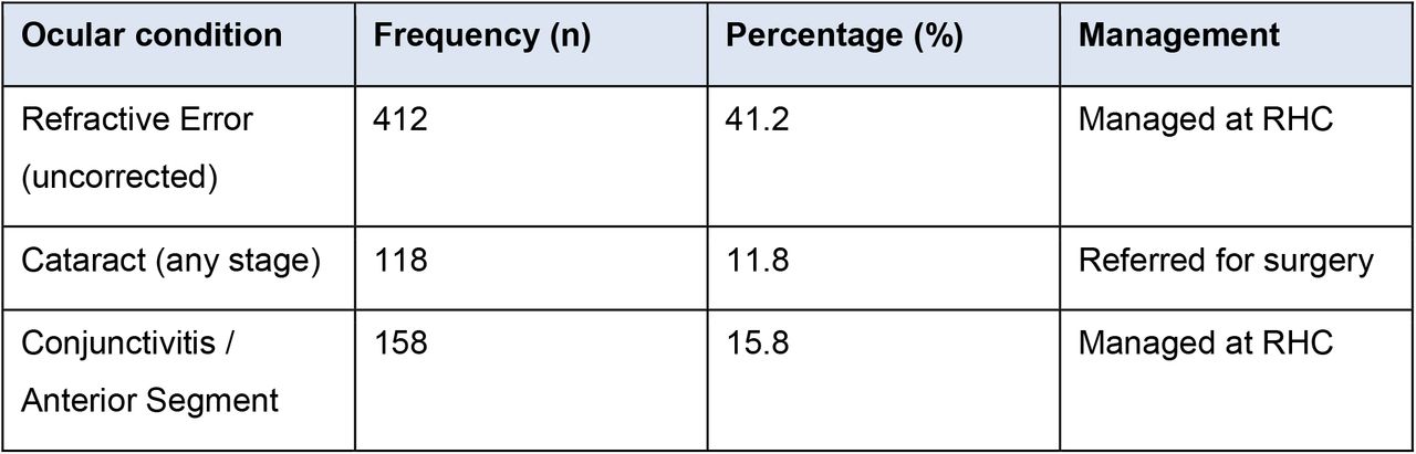 Distribution of Primary Ocular Diagnoses Among Sampled Patients (N = 1,000)