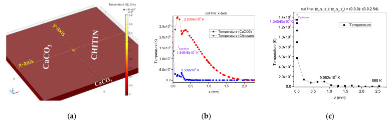 COMSOL simulation of laser-irradiated nonhomogeneous target with CaCO3 and chitin components: target components and temperature (K) developed on its surface 10 ns after laser pulse ignition (a); phase change diagram T(x), 10 ns after laser pulse ignition (b); phase change diagram T(z), 10 ns after laser pulse ignition (c).