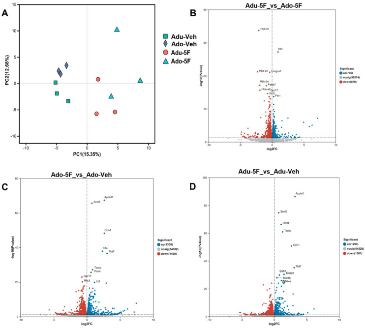Overall impacts of 5F-EDMB-PICA exposure during adolescence and adulthood. (A) PCA of hippocampal RNA-seq profiles after vehicle or 5F-EDMB-PICA (2 mg kg−1, i.p.) in mice of different age groups. Volcano plots displaying differentially expressed genes (with p < 0.05) are shown for (B) comparisons between mice of different age groups at 2 h after 5F-EDMB-PICA exposure (2 mg/kg, intraperitoneal injection), as well as for (C,D) comparisons between 5F-EDMB-PICA-treated and vehicle control groups in adolescent and adult mice, respectively. Data analyses were conducted as detailed in Section 4.9.