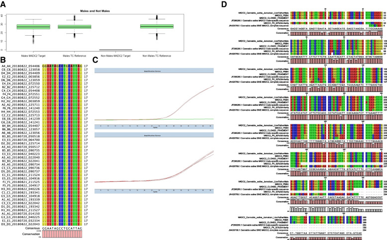 Male plant sex marker analysis by qPCR and sequencing. A Box plot analysis of 2nd derivative cycle quotient values for MADC2 and tissue control for 8200 samples from SexID qPCR results. B Genetic alignment of Steep Hill TaqMan probe for male identification from targeted sequencing of 45 males. C Representative amplification plots for Steep Hill sex determination assay (top: MADC2 amplification plot) (bottom: tissue control amplification plot). D Genetic alignment of canonical MADC2 391-bp cloned fragment from Mandolino aligned to queried IDs in PacBio sequence from Pineapple Banana Bubba Kush