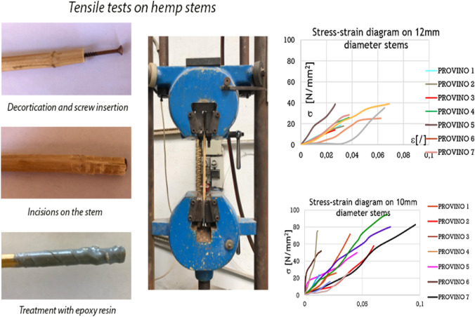 Test of rupture of the hemp stem (courtesy of Prof. Antonio Formisano of the Polytechnic School and Basic Sciences—(Department of Structures for Engineering and Architecture, University Federico II of Naples)