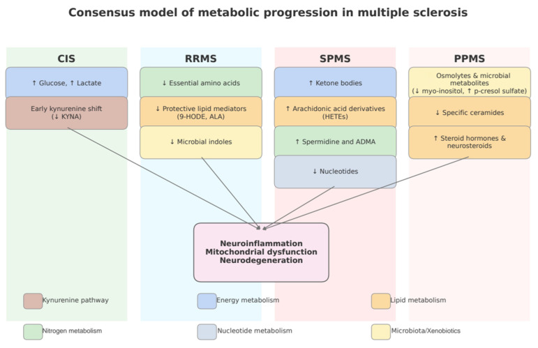 Consensus model of metabolic progression in multiple sclerosis. CIS most commonly shows increased glycolytic output (↑ glucose, ↑ lactate) and an early kynurenine pathway shift (↓ KYNA). RRMS additionally features ↓ essential amino acids, ↓ protective lipid mediators, and ↓ microbiota-derived indoles. SPMS is characterized by ↑ ketone bodies, ↑ arachidonic-acid derivatives (HETEs), ↑ spermidine and ADMA, and ↓ nucleotides. PPMS more often exhibits ↓ osmolytes together with microbial metabolites (↓ myo-inositol, ↑ p-cresol sulfate), ↓ specific ceramides, and ↑ steroid hormones/neurosteroids. Gray arrows indicate convergence toward shared processes—neuroinflammation, mitochondrial dysfunction, and neurodegeneration. Color coding: blue, energy metabolism; orange, lipid metabolism; green, nitrogen metabolism; beige, kynurenine pathway; slate, nucleotide metabolism; yellow, microbiota/xenobiotics. Patterns synthesize directionality reported across studies and do not imply causality; evidence for progressive forms remains comparatively limited.