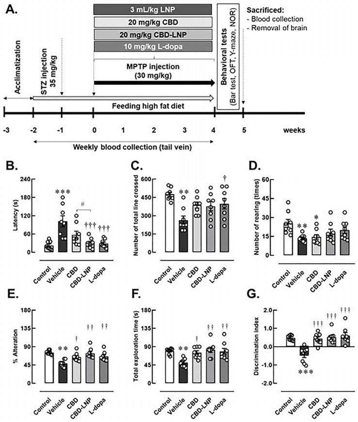 Experimental animal study (A) and changes of physical activities and memory profiles after 4 weeks of vehicle, CBD, CBD lipid nanoparticles (CBD-LNP), or levodopa (L-dopa) treatments in diabetic Parkinson’s disease (DP) rats as demonstrated by (B) bar test, (C) total lines crossed, (D) number of rearings in open field test, (E) the percentage of alternation in Y-maze test, (F) total exploration time, and (G) discrimination index of novel objective recognition test. Data are presented as mean ± SEM (n = 8 rats/group). * p < 0.05, ** p < 0.01, *** p < 0.001 compared to vehicle-treated control group. † p < 0.05, †† p < 0.01, ††† p < 0.001 compared to vehicle treated-DP group, and # p < 0.05 compared to CDB treated-DP group.