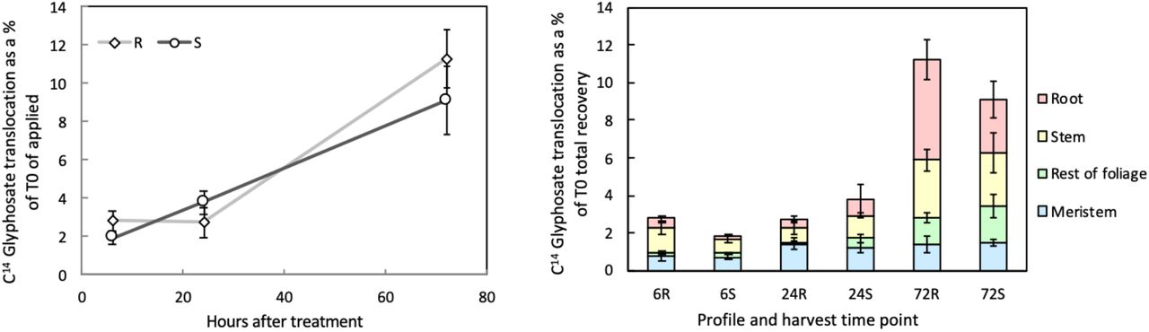Glyphosate resistance mechanism of resistance in common waterhempa) 14C labelled glyphosate translocated away from the site of application in the resistant (R) and susceptible (S) A. tuberculatus plants relative to the 14C glyphosate recovery at time point zero (T0) b) The proportions of 14C labelled glyphosate translocated away from the site of application to the root, stem, rest of the foliage and meristem, relative to the 14C glyphosate recovery at time point zero (T0)