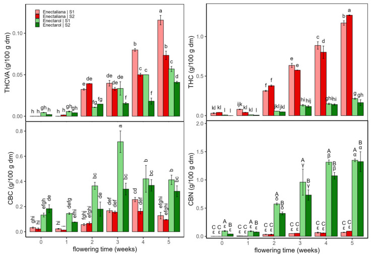 Psychoactive cannabinoids and related derivatives in Enectaliana and Enectarol cultivars from 0 to 5 flowering weeks for two planting densities (Sector 1 (S1) ≈ 2.3 plants m−2; Sector 2 (S2) ≈ 4.6 plants m−2): THCVA, THC, CBC and CBN. Different letters indicate significant differences (p < 0.05). Lowercase for Density × Time × Cultivar in THCVA, THC and CBC; uppercase (Density × Cultivar) and Greek (Time × Cultivar) in CBN.