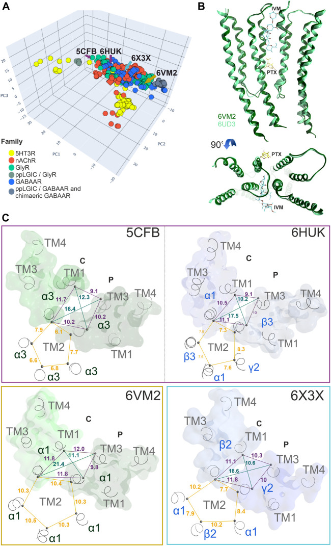 Conformation analysis of the upper TMD interface pocket: (A) Scatter plot of the pocket conformations. Each dot represents the results for an individual upper TMD interface, diamond shaped symbols indicate the presence of a ligand in the analysed site. The colour of the dots indicates the protein family as defined in the legend, gray is used for diverse chimeras. ppLGIC: procaryotic pentameric ligand gated ion channel. Arrows and PDB IDs indicate the localization of structures which are rendered in panels (B) and (C), arrow and box colours match across the panels. (B) Superposition and comparison of two interface forming subunits of the ivermectin bound Gly R structure 6VM2 and the picrotoxin bound 6UD3, featuring nearly identical conformations of the entire TMD. (C) Different conformations result in different distances between alpha carbon atoms: A plane through the upper TMD is depicted with all five TM2 segments and two subunits. Distances between alpha carbons are shown to illustrate backbone conformation, where yellow lines are distances between homologous pore forming TM2 residues as an indication for asymmetry, purple lines are distances between pocket forming residues defining the circumference, and green lines the pocket “diagonals”.