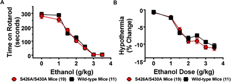 Sensitivity to ethanol is not altered for S426A/S430A mutants.A. The ataxic effects of 0 (saline only), 1, 1.5, 2, 2.5, 3, and 3.5 g/kg of ethanol were measured in S426A/S430A mutants (red circles and line) and wild-type littermates (black lines and squares) using an accelerating rotarod. S426A/S430A mutant mice show the same sensitivity to the ataxic effects of ethanol as wild-type mice. B. S426A/S430A mutants also display the same sensitivity to the hypothermic effect of ethanol as wild-type mice. Error bars represent the SEM and data analyses were performed using two-way repeated measure ANOVAs with Bonferroni post-hoc tests. Sample sizes for each group are in parentheses.