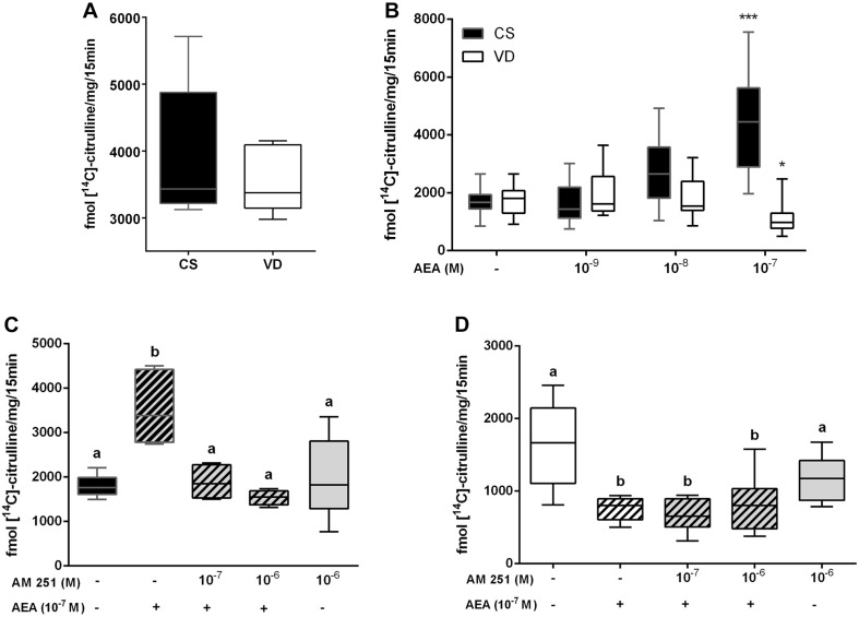 Characterization of nitric oxide synthase (NOS) activity in term placenta. (A) Basal NOS activity measured in CS and VD placentas (n = 8). (B) NOS activity measured after culturing CS and VD placentas with different concentrations of AEA (***P < 0.001, *P < 0.05 vs. control, n = 8). (C) NOS activity measured after culturing CS placentas and (D) VD placentas with 10– 7M AEA and different concentrations of AM 251. Different letters represent significant changes (P < 0.05 vs. control, n = 8) and the plain gray bar shows that AM 251 has no effect per se.