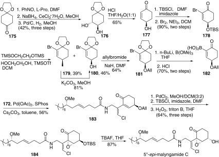 Synthesis of 5″-epi-malyngamide C reported by Cao [66]