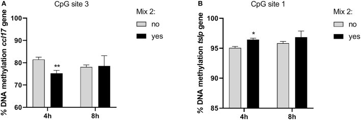 The effects of the nutraceutical mixture on CpG island methylation in CPEK cells. Inflamed cells were treated (Mix yes) or not (Mix no) with the nutraceutical mixture (Mix 2) for 4 and 8 h. The bar graphs represent the mean + SEM of three independent experiments performed in triplicate. The figure shows the methylation percentage with respect to ccl17 (A) and tslp (B) expressed as methylated cytosine/methylated cytosine + unmethylated cytosine. The statistically significant differences between experimental conditions are reported as follows: *p < 0.05, **p < 0.01.