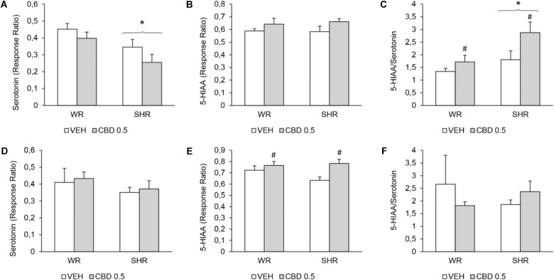 Levels of serotonin, 5-hydroxyindoleacetic acid (5-HIAA), and 5-HIAA/serotonin ratio on the prefrontal cortex of WRs and SHRs (n = 5–6/group) treated with vehicle (VEH) or 0.5 mg/kg cannabidiol (CBD 0.5) during peri-adolescence (30–60 post-natal day). The levels of monoamines were assessed on post-natal day 61 (A–C) and on post-natal day 90 (D–F). Data expressed as response ratio: area under curve for the monoamine/area under curve for the internal standard. Data reported as mean ± SEM. Two-way ANOVA. ∗p < 0.001 compared to WRs of same treatment. #p < 0.05 compared to VEH-treated animals of the same strain. SHR, spontaneously hypertensive rats; WR, Wistar rats.