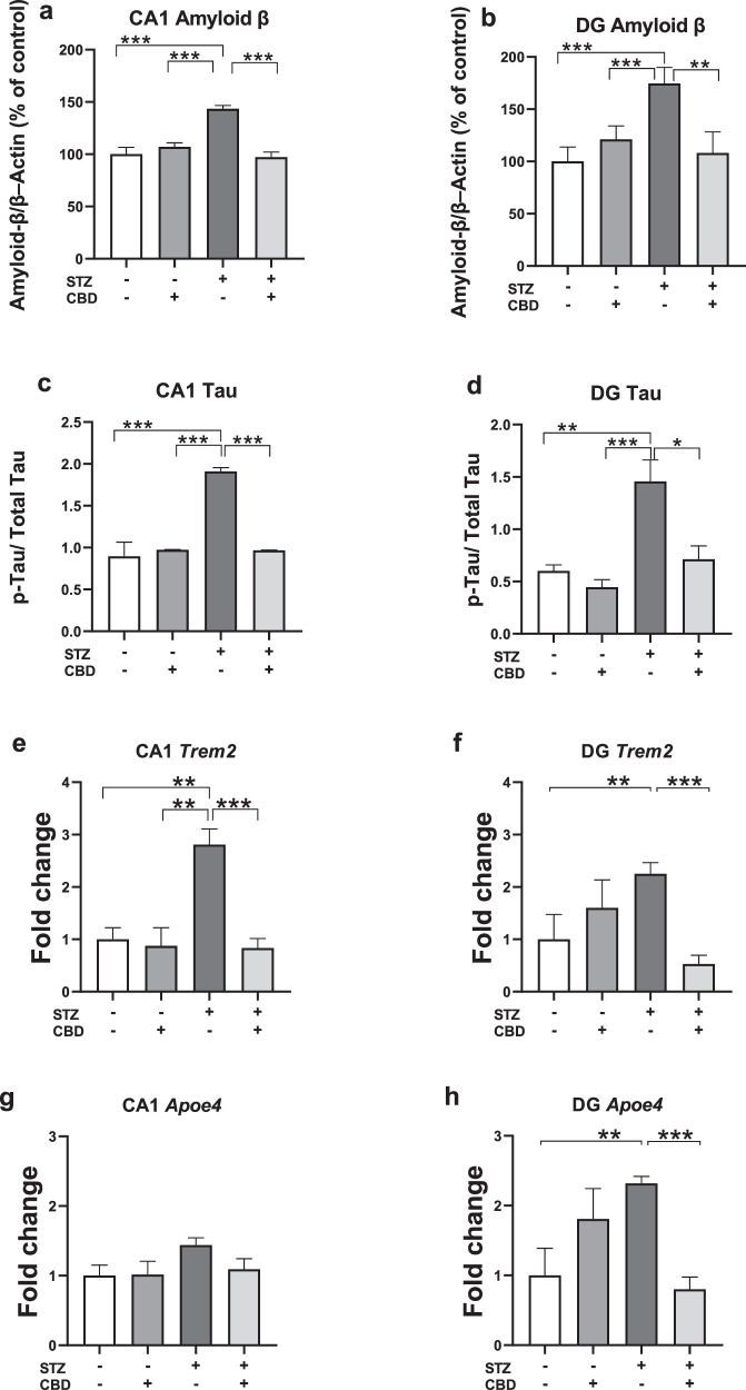 Effects of Chronic CBD Administration on AD-Related Markers in the CA1 and DG of Rats with ICV-STZ-Induced AD.Compared to all other experimental groups, animals in the STZ-Veh group exhibited increased levels of Amyloid β protein in the CA1 a and DG b, as well as increased p-Tau in the CA1 c and DG d. Compared to all other experimental groups, animals in the STZ-Veh group showed increased levels of TREM2 mRNA in the CA1 e; animals in the STZ-Veh group exhibited higher mRNA levels of TREM2 in the DG compared to the aCSF-Veh and the STZ-CBD groups f. There were no differences between the groups in ApoEɛ4 mRNA levels in the CA1 g; animals in the STZ-Veh group exhibited higher mRNA levels of ApoEɛ4 in the DG compared to the aCSF-Veh and the STZ-CBD groups h. (n = 5-8 per group), *p < 0.05, **p < 0.01, ***p < 0.001.