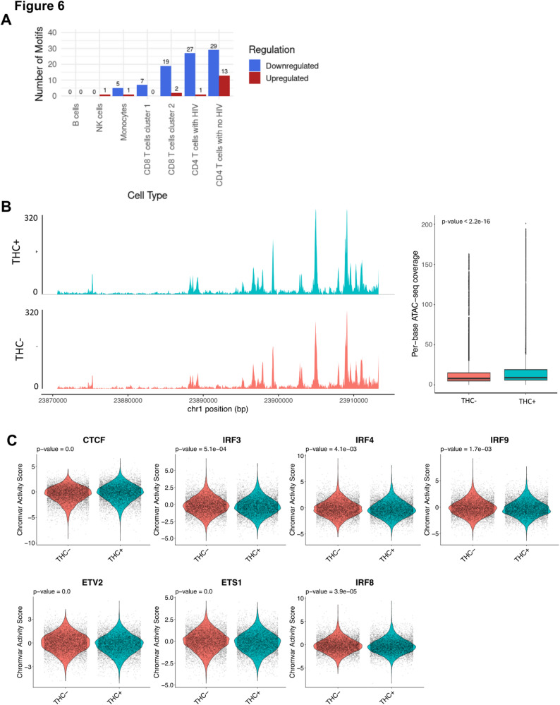 THC impacts transcription factor activity in HIV infected CD4 T cells. A Bar plot showing the number of differentially active transcription factors (DATFs) across the different immune cell types after 6 h THC exposure. B Representative scATAC-seq peaks at the CNR2 region on genome visualization tracks (Left panel, and the bar graph showing the average read counts of CNR2 accessibility (Right panel). C Violin plots showing activity scores for selected TFs (CTCF, IRF3, IRF4, IRF9, ETV2, ETS1, IRF8) in response to THC exposure. P values from Wilcoxon rank sum tests comparing THC treated cells to control treated cells