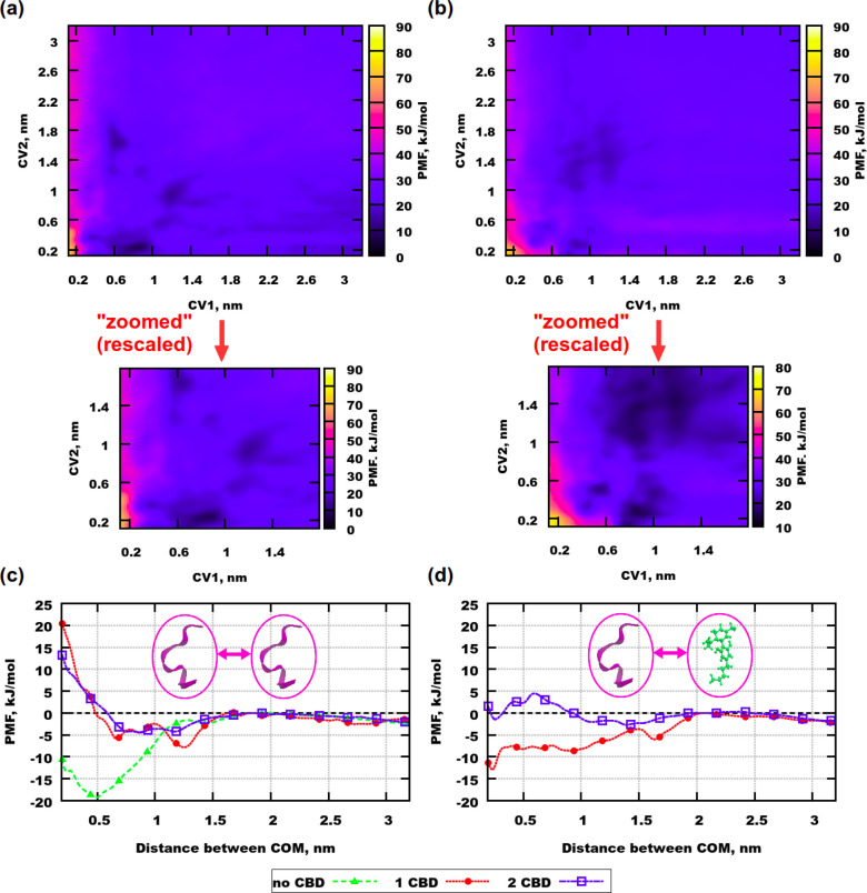 PMF profiles for well-tempered metadynamics simulations with Aβ(25–35). (a) Simulation with 2 peptides and 1 CBD molecule. (b) Simulation with 2 peptides and 2 CBD molecules. (c) Green curve is for one-dimensional simulation containing no CBD molecules. Red and blue curves are integrated profiles for peptides from simulations containing 1 and 2 CBD molecules, respectively. (d) Red and blue curves are integrated profiles for peptides and CBD molecules from simulations containing 1 and 2 CBD molecules, respectively.