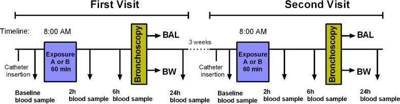 The study design, including sampling time points. At the first visit, the subjects were randomized to either exposure A (biodiesel exhaust) or B (sham exposure using filtered air). Bronchial wash (BW) and bronchoalveolar lavage (BAL) were collected by bronchoscopy around 6 h after completion of the 1-h exposure session. At the second visit (at least 3 weeks later), the subjects were crossed over to the other type of exposure and underwent the same sampling protocol