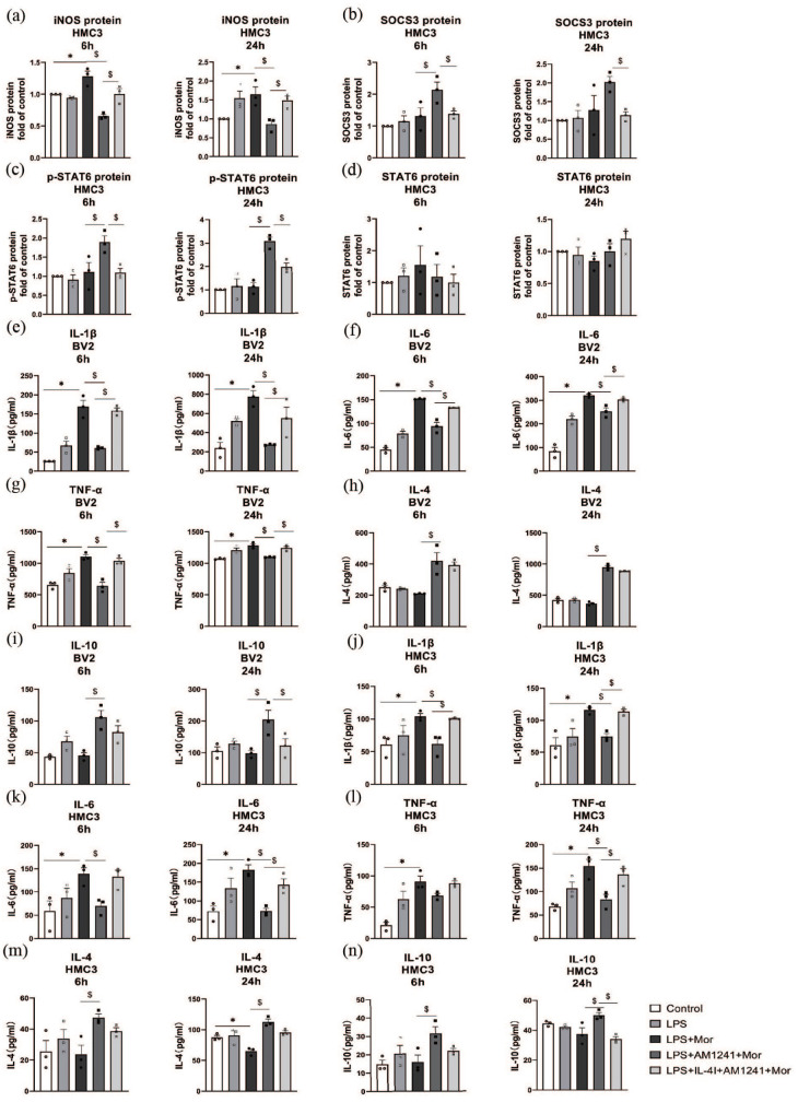 Effects of AM1241 and IL-4I on the expression of cytokines in vitro. The p-STAT6 protein (c),STAT6 protein (d), iNOS protein (a), and SOCS3 protein (b) fold of control in HMC3. The cytokines of IL-1β (e, j), IL-6 (f, k), TNF-α (g, l), IL-4 (H, M), and IL-10 (I, N) used one-way analysis of variance (ANOVA) followed by Bonferroni’s multiple comparisons test. *p < 0.05: the LPS+Mor group compared with the control group; $p < 0.05: the different groups compared with the LPS+AM1241+Mor group.